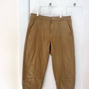 Everlane Utility Barrel Pants in Fennel Seed